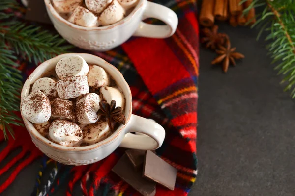 Hot chocolate with marshmallows, cinnamon and spices — Stock Photo, Image