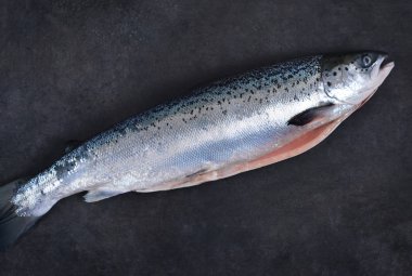 Siyah bir zemin üzerine taze Çiğ somon. Üstten Görünüm.