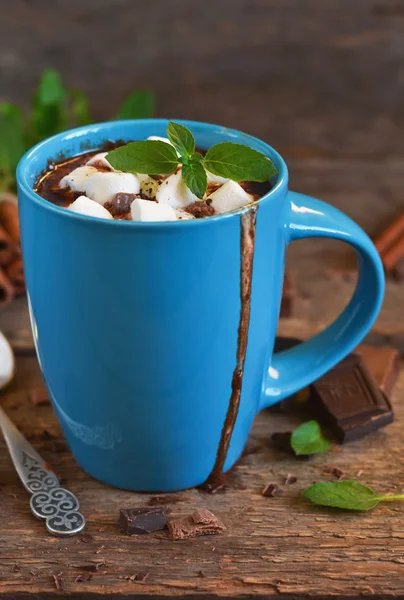 Winter drink - hot chocolate with marshmallows, cinnamon and min — Stock Photo, Image