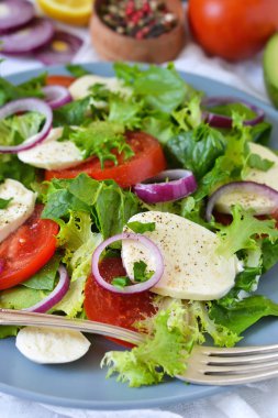 Sebze salata domates, mozzarella ve sos ile