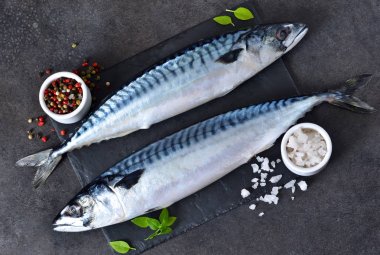 Siyah beton arka planda baharatlı taze, çiğ uskumru.