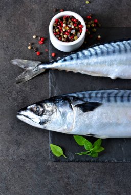 Siyah beton arka planda baharatlı taze, çiğ uskumru.