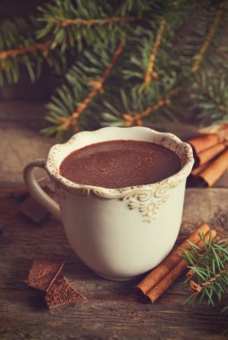 Tarçın ve baharatlar ile sıcak çikolata