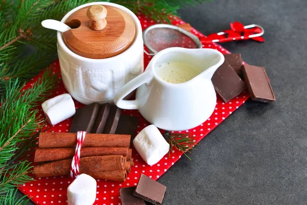 Ingredients for hot chocolate for the new year with space — Stock Photo, Image