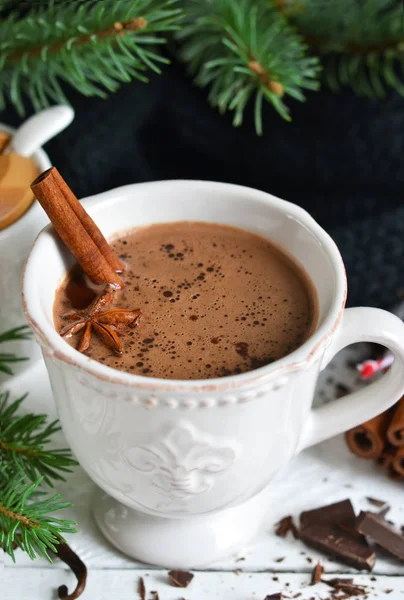 Зимний горячий напиток - горячий шоколад с корицей и анисом — стоковое фото