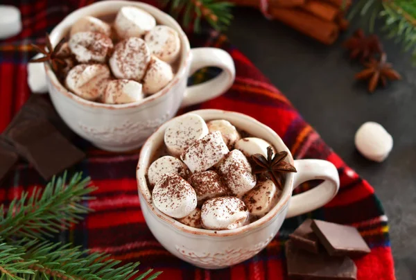Gorąca czekolada z marshmallows, cynamon i przyprawy — Zdjęcie stockowe