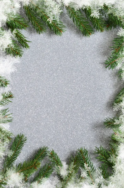 New Year Background Fir Snow — Stock Photo, Image