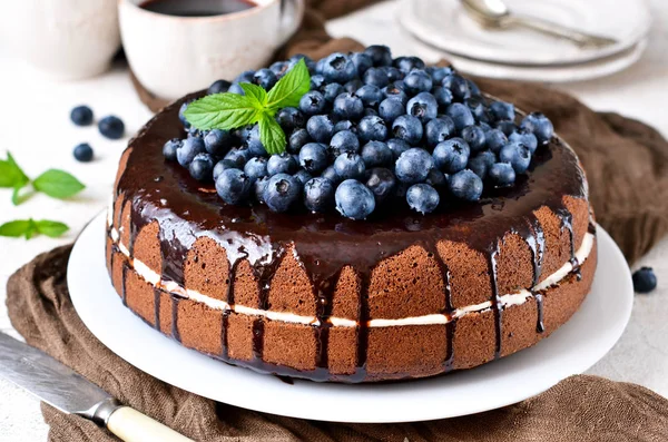 Домашний шоколадный торт со сливками и черникой — стоковое фото