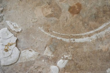 * * * * * * * * * * * * * * * * * *