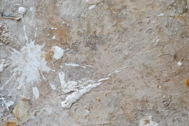 * * * * * * * * * * * * * * * * * *