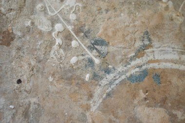 * * * * * * * * * * * * * * * * * *