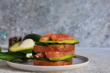 Avokado ve somonlu çavdar ekmekli sandviç. Yatay.