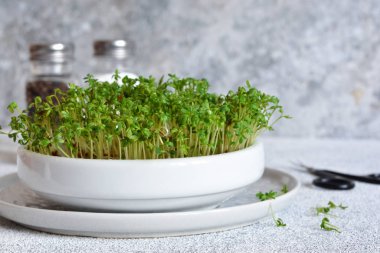 Mutfak masasındaki su teresi..