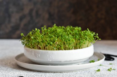 Mutfak masasındaki su teresi..