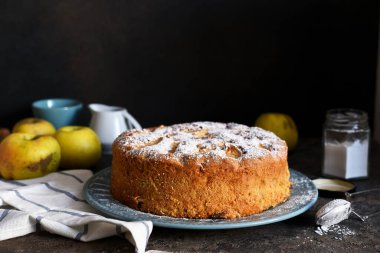 Charlotte - a classic pie with apples on a concrete background.