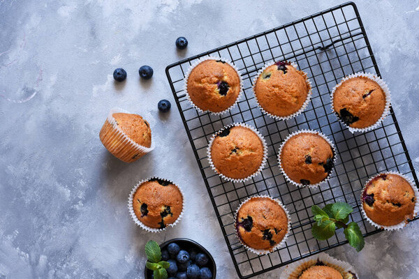 Vanilla muffins with blueberries on a concrete background. View from above.