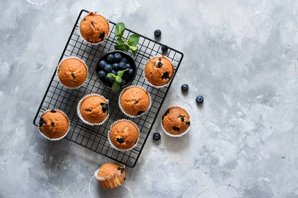 Vanilkové Muffiny Borůvkami Betonovém Pozadí Pohled Shora — Stock fotografie