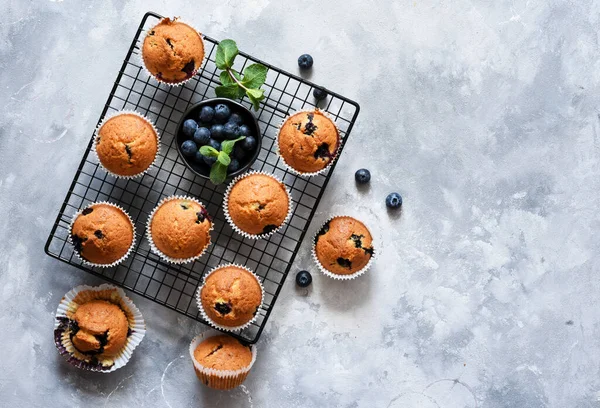 Vanilkové Muffiny Borůvkami Betonovém Pozadí Pohled Shora — Stock fotografie