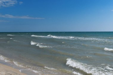 Karadeniz sahili ve kum tepeleri. Sıcak yaz günü. Gezegenimizin vahşi yerleri. Ukrayna.