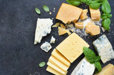 Peynir seti: Brie peyniri, mavi peynir, parmesan peyniri ve siyah beton kaplama fesleğen. Yukarıdan görüntüle.