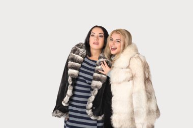 two  girlfriends in short fur coats walk clipart