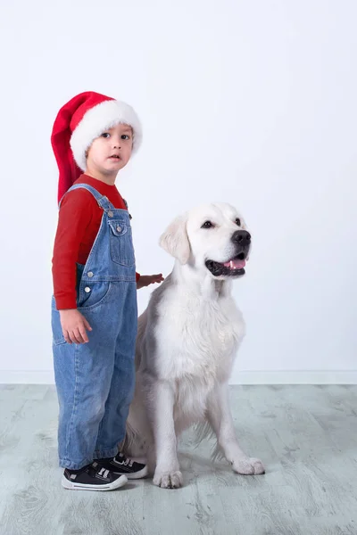 Un perro el Labrador y el niño en Santa Claus — Foto de Stock