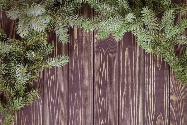 Christmas  fir-tree branch  on a wooden wall and copy space — Stock Photo, Image