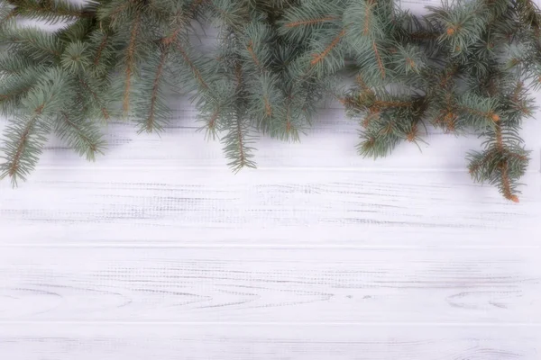 Christmas  fir-tree branch  on a wooden wall and copy space