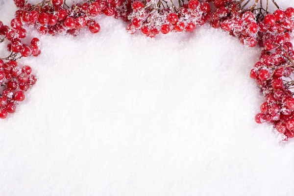 I rami di un guelder sono saliti su neve con copyspace — Foto Stock