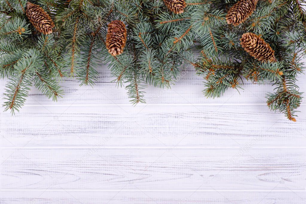Christmas  fir-tree branch  on a wooden wall and copy space