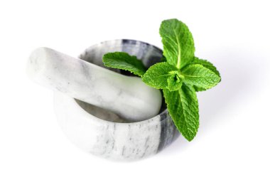 Beyaz bir arka mermer bir harç dal taze nane yatıyor