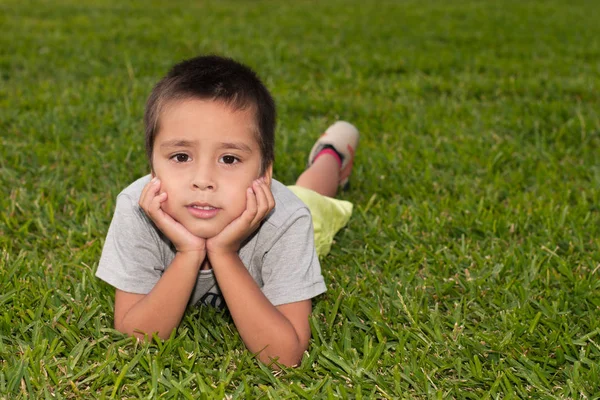 De jongen ligt op een groene gras, stutten up die een gezicht handen — Stockfoto