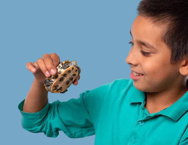 Estúdio tiro de um menino se comunicando com tartaruga — Fotografia de Stock