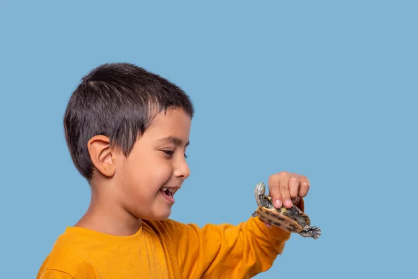 Studio shot van een jonge jongen communiceren met schildpad — Stockfoto