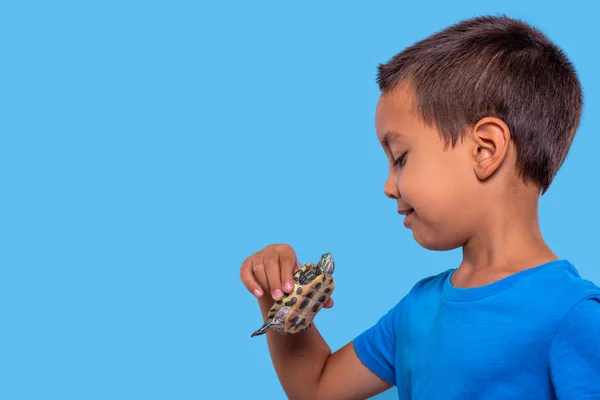 Schot van een jongen met een schildpad in zijn hand op een blauwe achtergrond. — Stockfoto