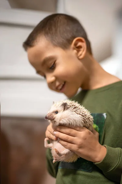 Aufnahme eines kleinen Jungen mit einem Igel in der Hand. — Stockfoto