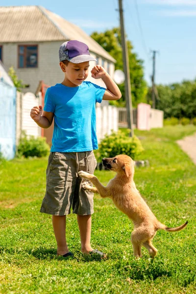 Un niño juega con un perro pequeño en una calle del pueblo en un claro sp — Foto de Stock