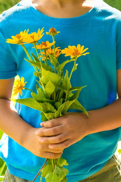 Ein kleiner Junge in blauem Hemd hält einen Strauß Gartengelb in der Hand — Stockfoto