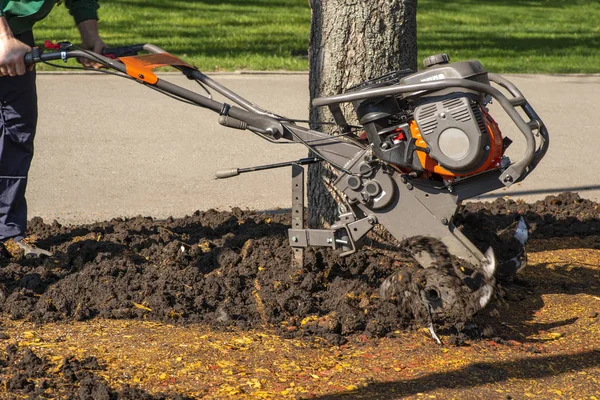 Travaux de nettoyage printanier dans le parc . — Photo