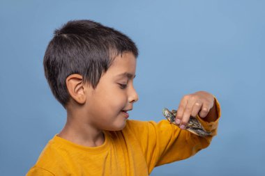 Genç, gülümseyen bir çocuk mavi arka planda elinde bir kaplumbağa tutuyor. Mutlu çocukluk kavramı. Çocukların hobileri..