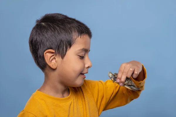 Een Jonge Lachende Jongen Houdt Een Schildpad Zijn Hand Tegen — Stockfoto