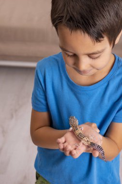 Evinde elinde Eublepharis tutan gülümseyen bir çocuk. Mutlu çocukluk kavramı. Çocukların hobileri..