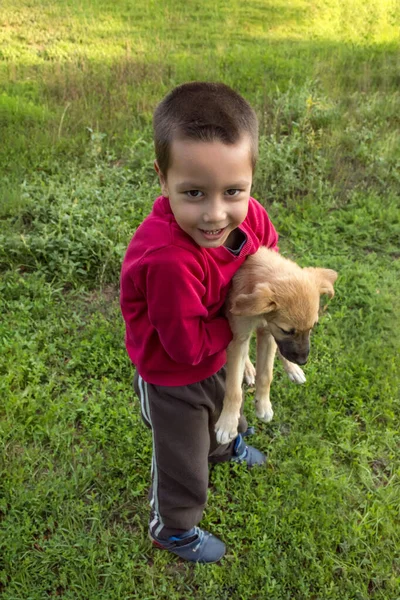 Foto Niño Divirtiéndose Sosteniendo Cachorro Césped Verde Día Soleado Concepto — Foto de Stock