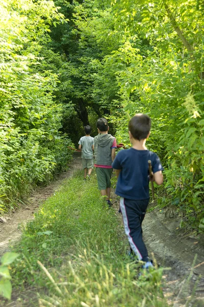 Shot of young boys walking along the path to the forest  in the summer on vacation