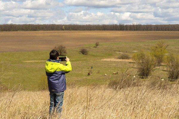 Prise Vue Jeune Garçon Photographiant Des Vaches Broutant Dans Une — Photo