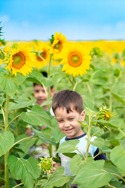 Aufnahme Von Kindern Die Einem Klaren Sommertag Den Schulferien Mit — Stockfoto