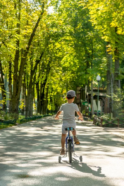 Знімок Дитячого Велосипеда Дорозі Парку Літній День Вид Ззаду Концепція — стокове фото