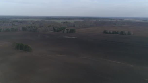 Een Tractor Ploegt Een Enorm Veld Achtergrond Van Het Bos — Stockvideo