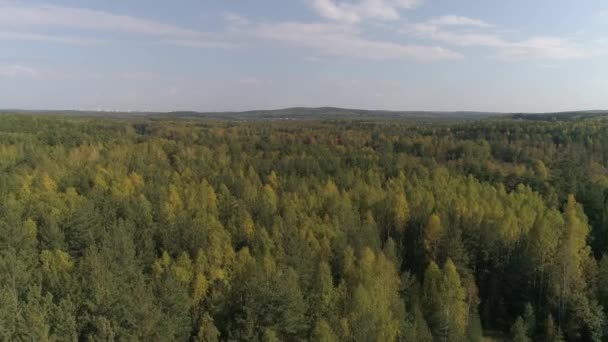 Vue aérienne de la forêt d'automne. Quelques nuages dans le ciel. Les arbres en différentes couleurs. Vue aérienne de la forêt pendant la journée calme d'automne. Paysage forestier d'automne 