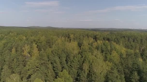Pemandangan Udara Dari Hutan Musim Gugur Beberapa Awan Langit Pohon — Stok Video